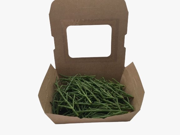 Brotes de Salicornia en fresco