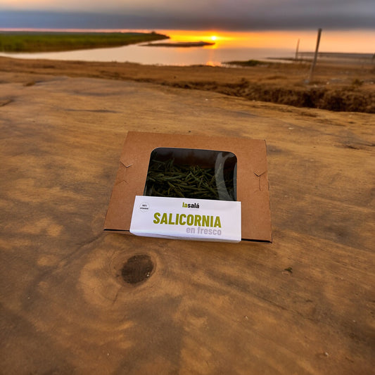 Brotes de Salicornia en fresco